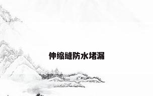 伸缩缝防水堵漏