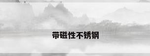带磁性不锈钢