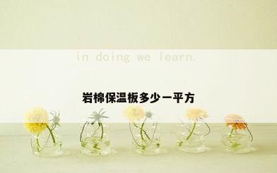 岩棉保温板多少一平方