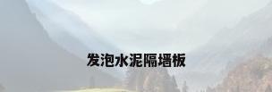 发泡水泥隔墙板