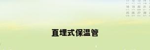 直埋式保温管