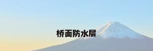 桥面防水层