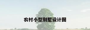 农村小型别墅设计图