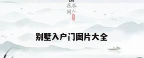 别墅入户门图片大全