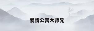 爱情公寓大师兄