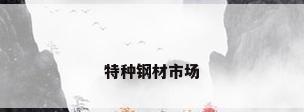 特种钢材市场