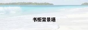 书柜背景墙