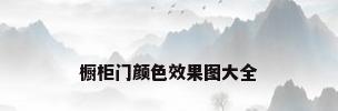 橱柜门颜色效果图大全