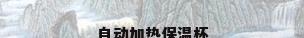 自动加热保温杯