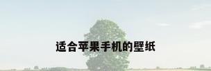 适合苹果手机的壁纸