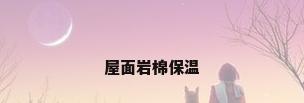 屋面岩棉保温
