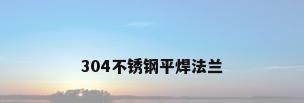 304不锈钢平焊法兰