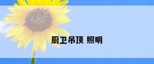厨卫吊顶 照明