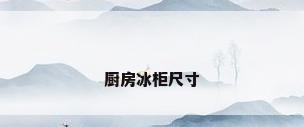 厨房冰柜尺寸