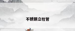 不锈钢立柱管