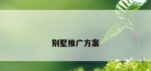 别墅推广方案