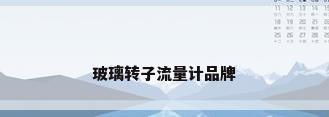 玻璃转子流量计品牌