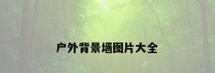 户外背景墙图片大全