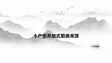 小户型开放式厨房吊顶