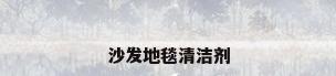 沙发地毯清洁剂