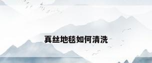 真丝地毯如何清洗