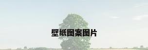 壁纸图案图片