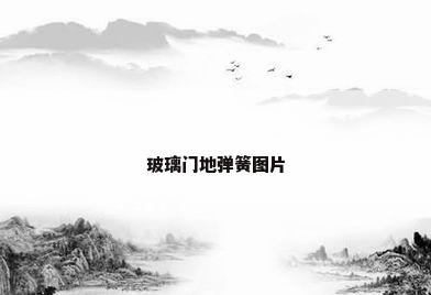 玻璃门地弹簧图片