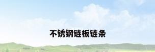 不锈钢链板链条