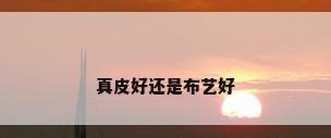 真皮好还是布艺好