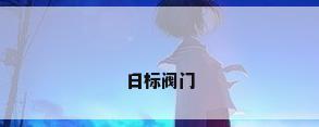 日标阀门
