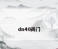 dn40阀门