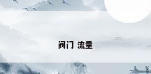阀门 流量