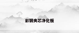 彩钢夹芯净化板