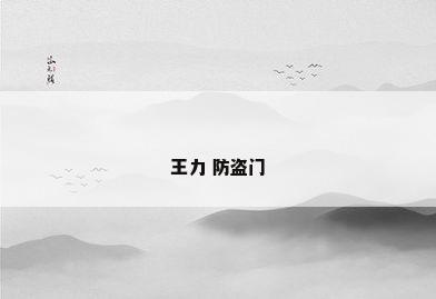 王力 防盗门