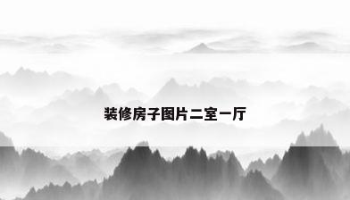 装修房子图片二室一厅
