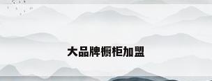 大品牌橱柜加盟