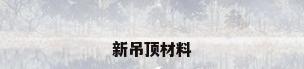 新吊顶材料