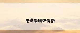 电磁采暖炉价格