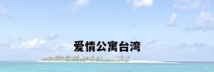 爱情公寓台湾