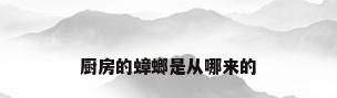 厨房的蟑螂是从哪来的