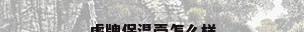 虎牌保温壶怎么样