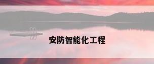 安防智能化工程