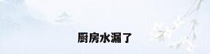 厨房水漏了