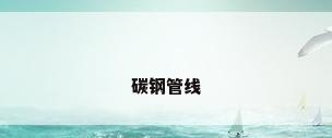 碳钢管线