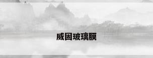 威固玻璃膜