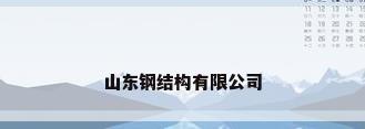 山东钢结构有限公司
