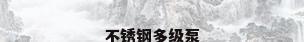不锈钢多级泵