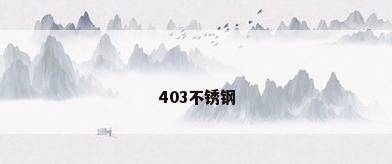 403不锈钢