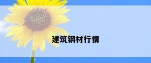 建筑钢材行情