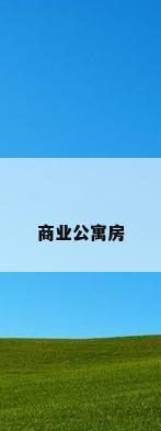 商业公寓房